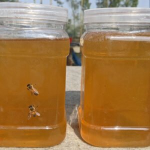 %e0%a6%b8%e0%a6%b0%e0%a6%bf%e0%a6%b7%e0%a6%be-%e0%a6%ab%e0%a7%81%e0%a6%b2%e0%a7%87%e0%a6%b0-%e0%a6%ae%e0%a6%a7%e0%a7%81-1kg