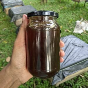 %e0%a6%95%e0%a6%be%e0%a6%b2%e0%a7%8b%e0%a6%9c%e0%a6%bf%e0%a6%b0%e0%a6%be-%e0%a6%ab%e0%a7%81%e0%a6%b2%e0%a7%87%e0%a6%b0-%e0%a6%ae%e0%a6%a7%e0%a7%81