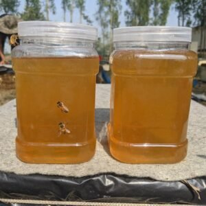 %e0%a6%b8%e0%a6%b0%e0%a6%bf%e0%a6%b7%e0%a6%be-%e0%a6%ab%e0%a7%81%e0%a6%b2%e0%a7%87%e0%a6%b0-%e0%a6%ae%e0%a6%a7%e0%a7%81-1kg