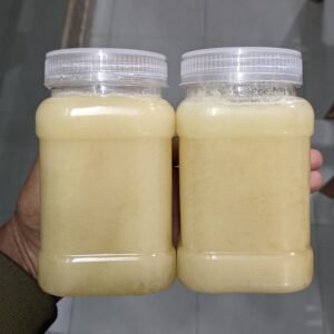 %e0%a6%b8%e0%a6%b0%e0%a6%bf%e0%a6%b7%e0%a6%be-%e0%a6%ab%e0%a7%81%e0%a6%b2%e0%a7%87%e0%a6%b0-%e0%a6%95%e0%a7%8d%e0%a6%b0%e0%a6%bf%e0%a6%ae-%e0%a6%ae%e0%a6%a7%e0%a7%81-1kg